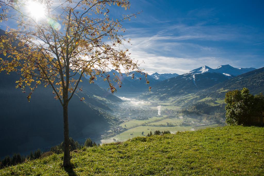 Brandebengut