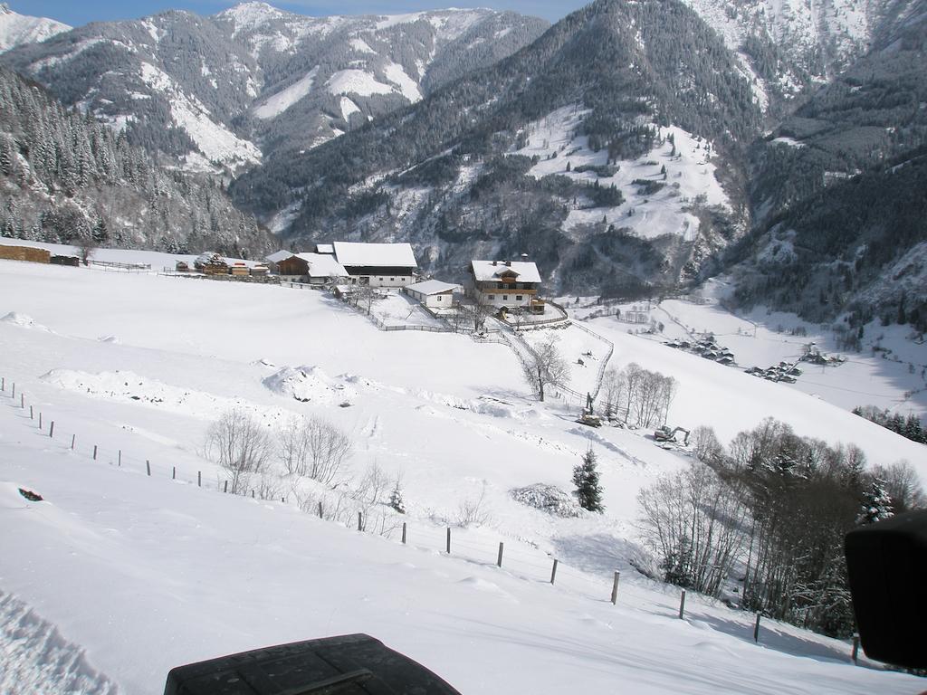 Brandebengut