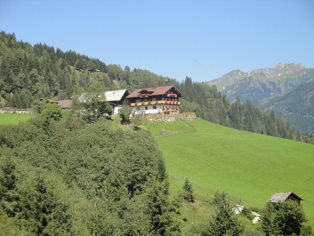 Brandebengut
