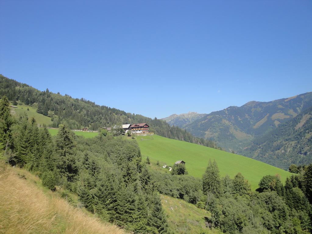 Farm stay Brandebengut *
