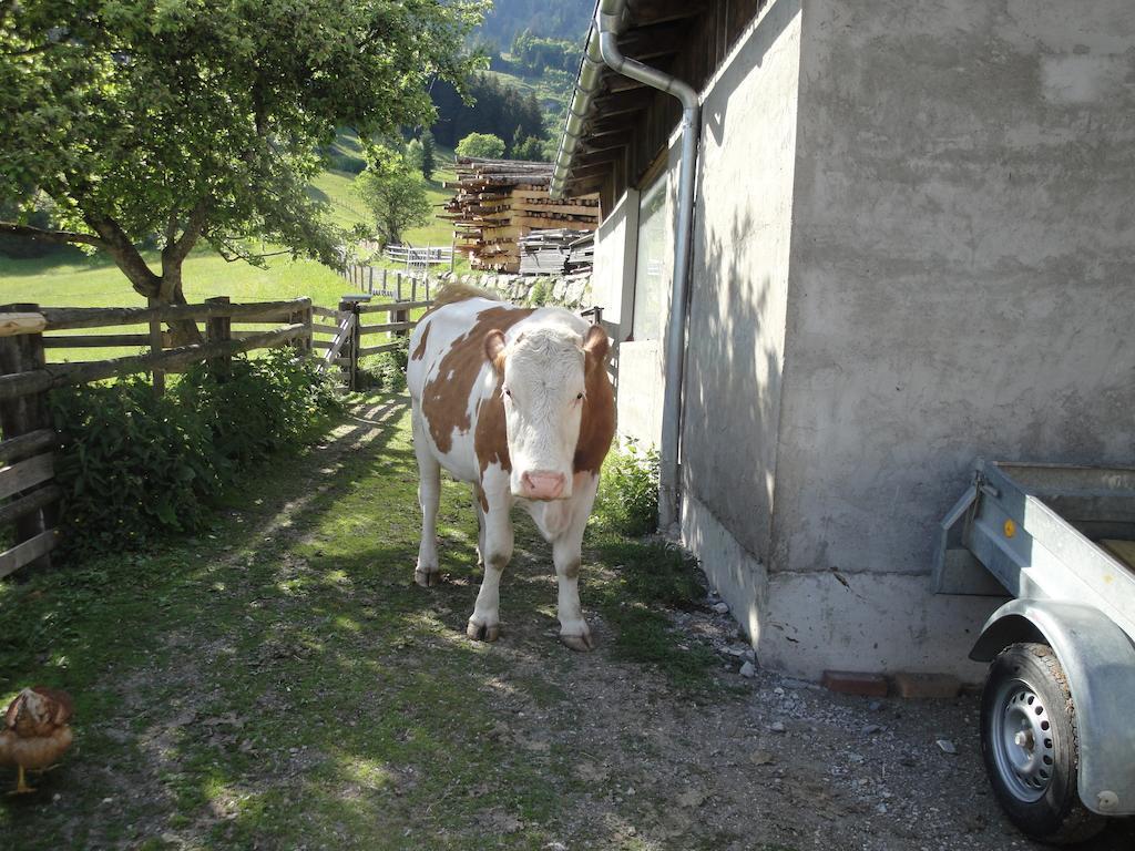 Brandebengut