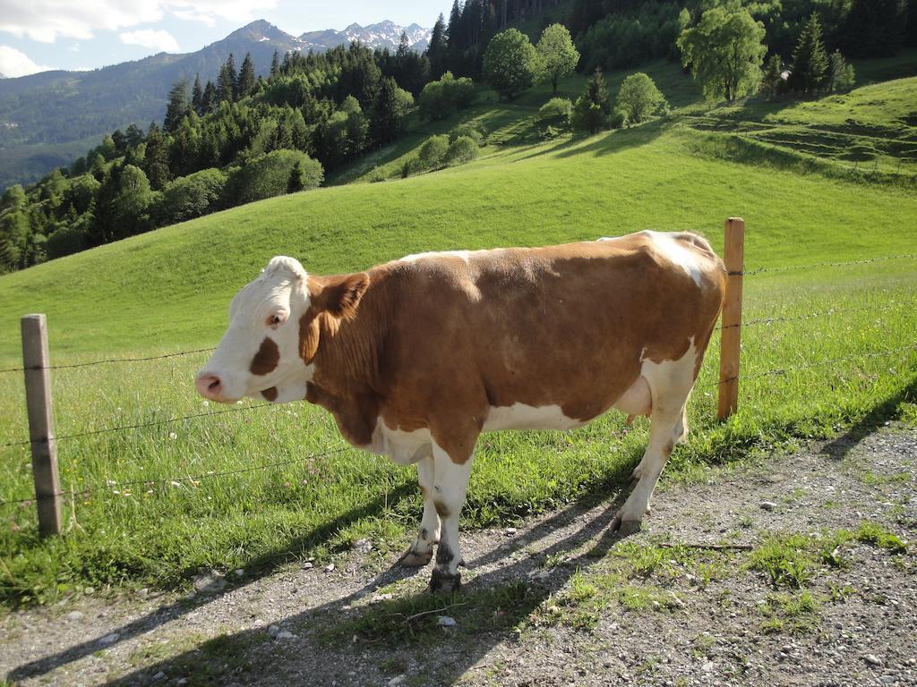 Brandebengut Bad Hofgastein